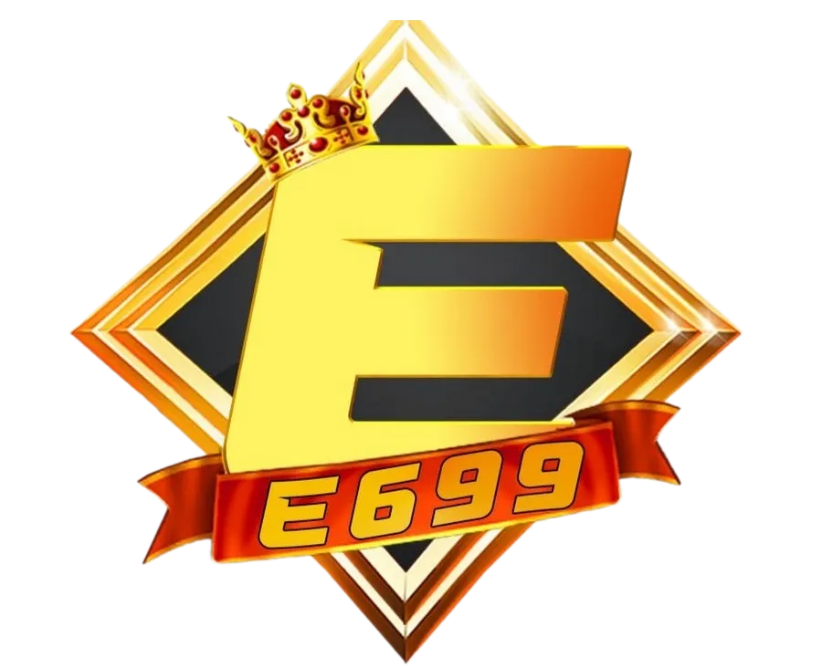 e699